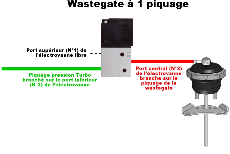 Westgate F44.png